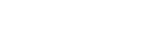 Nesicon